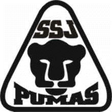 20051125063022-pumasgg.gif