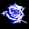 Blue_Rose.jpg