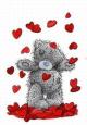 nounours_amoureu.jpg